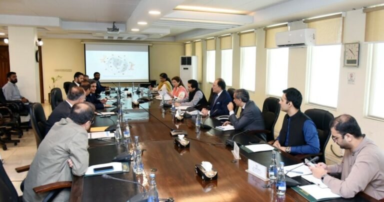 Finance minister holds meeting with Pegasus Airlines chairman, Lucky Cement CEO – Business & Finance