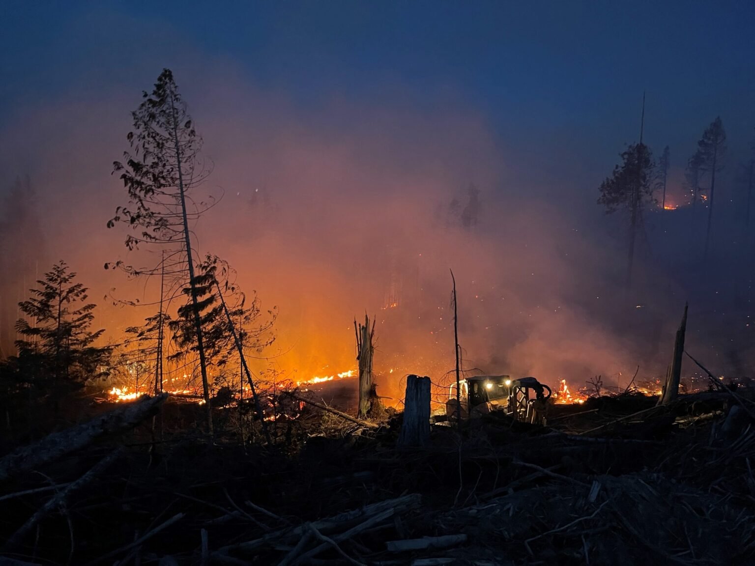In wildfire season, Department of Insurance offers home insurance advice • Idaho Capital Sun
