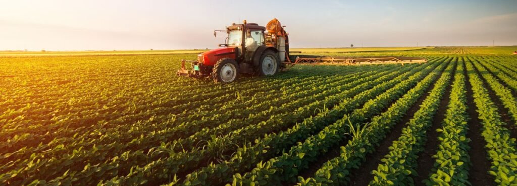 Is KC Feed (KOSDAQ:025880) A Risky Investment?