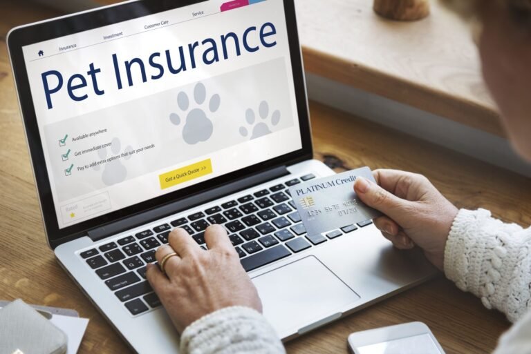 Pet insurance prices are pushing owners to shop around and switch provider