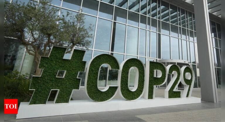 India calls out developed nations for climate inaction at COP29 conference