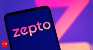 Zepto raises 0 million from domestic investors