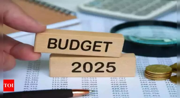 Budget signals slowing fiscal consolidation, says Moody’s