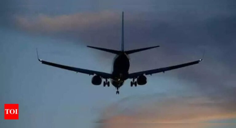 Govt to launch e-licences for pilots; India to be second country to do so for flight crew