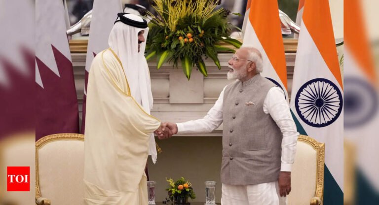 India Qatar look forward to double trade in next 5 years to $ 28 billion