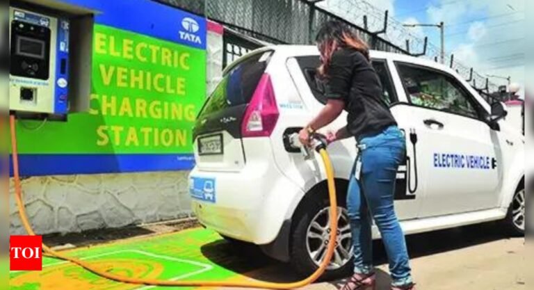 Union Budget 2025: EV industry roars on Li-ion’s share of exemptions