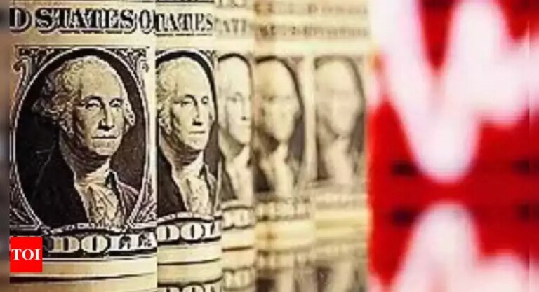 Dollar rally may lose steam as tariffs hurt consumption: S&P