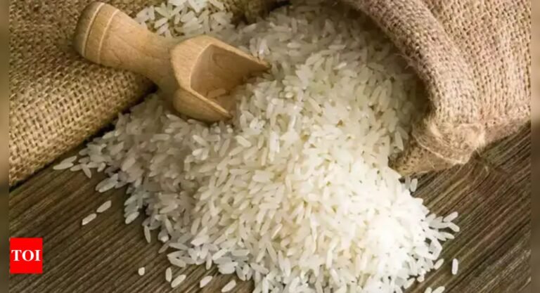 India lifts export ban on broken rice