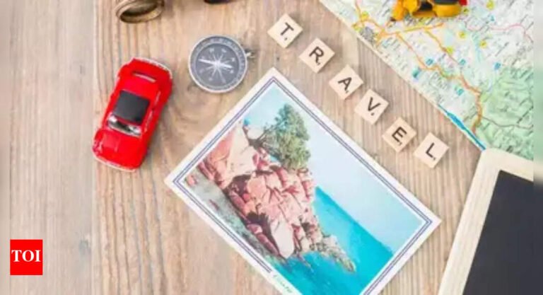 EaseMyTrip posts Rs 8,691.6 crore Gross Merchandise Value in FY25; Hotels & Holidays jump 189% YoY in Q4