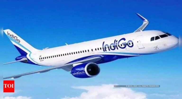 Fair fare on the horizon: IndiGo set to reintroduce grounded aircraft, may ease ticket prices