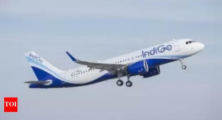 IndiGo faces over Rs 2.76 crore in fines from customs authorities, airline to contest orders