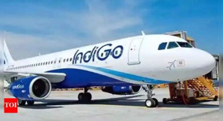 IndiGo to launch direct Mumbai-Adampur flights from July 2