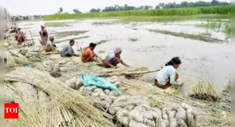 Jute industry eyes June 3 ECJ meet for relief amid supply crunch and soaring prices