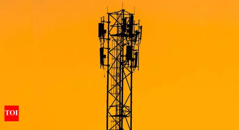 ‘Misconceived’: SC junks pleas by Airtel, Vodafone for waiver of AGR dues | India News