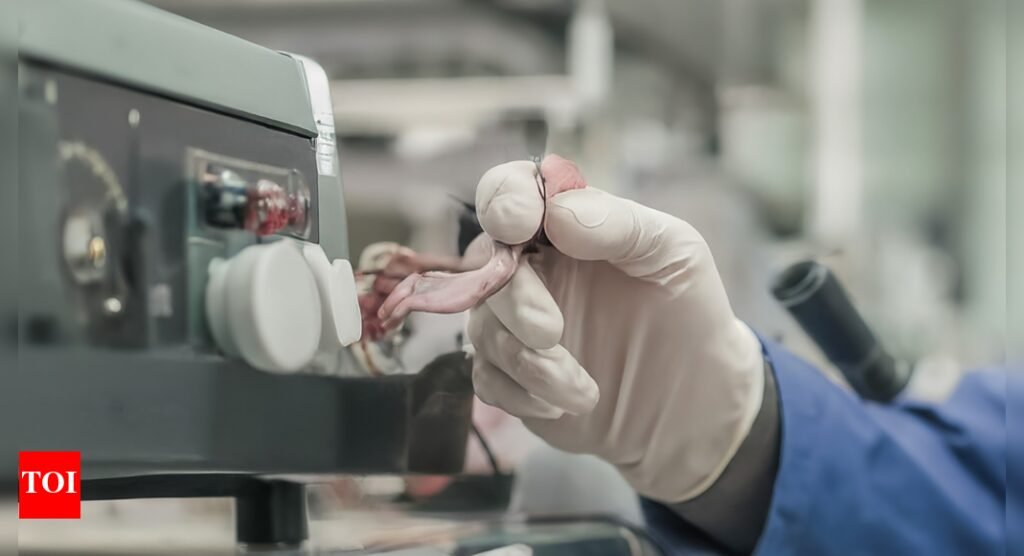 Quality Control Order implementation for electrical appliances deferred to March 2026 following stakeholder talks