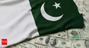 ‘Turnaround story next year’: Pakistan’s debt increases to PRs 76,000 billion; its FM claims economy on path to recovery
