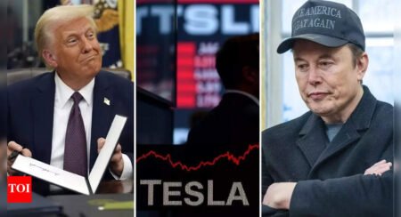 ‘Among 2025’s biggest losses’: Tesla stock crash wipes out 0billion! Trump-Musk feud deals most crushing blow