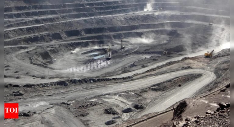 India in talks with China over rare earth exports, aims for predictability in trade, Maruti cuts EV output