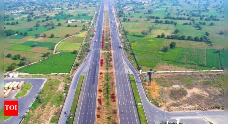 Highways min to give DPR work based on firms’ tech capacity, ratings & bank guarantee