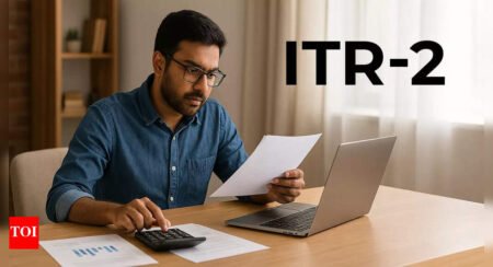 ITR filing: Why are ITR-2 and ITR-3 forms still not available on Income Tax e-filing portal? Top reasons explained