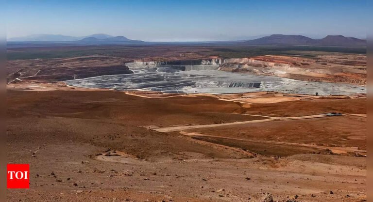 NLC India in advanced talks with Russian firm; to source lithium from African mines – check details